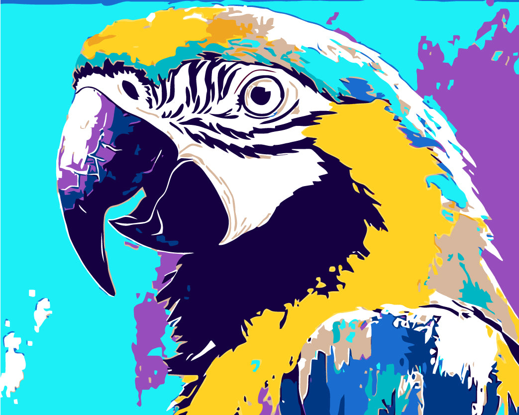 Painting by Numbers Parrot Colorful