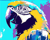 Painting by Numbers Parrot Colorful