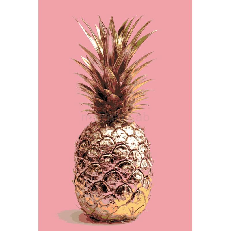 Painting by Numbers Pineapple
