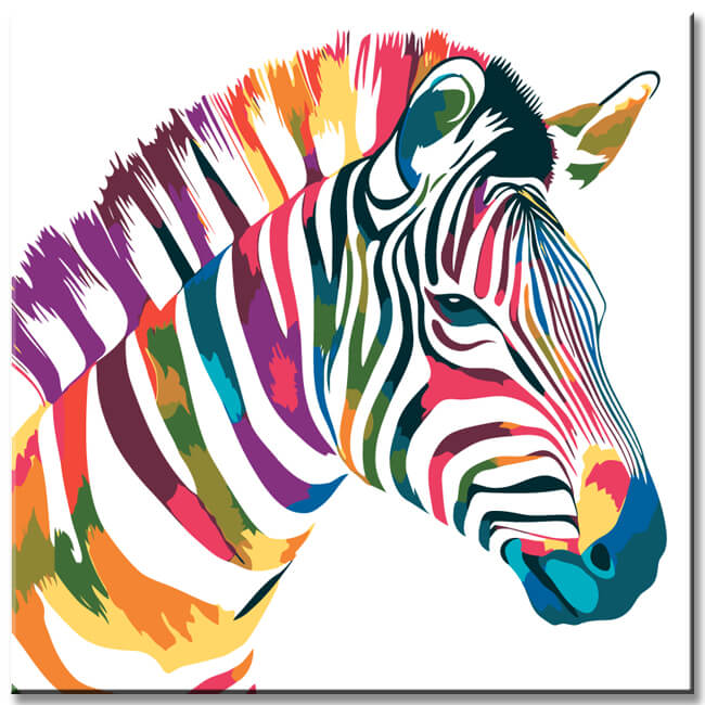 Painting by Numbers Zebra Colorful