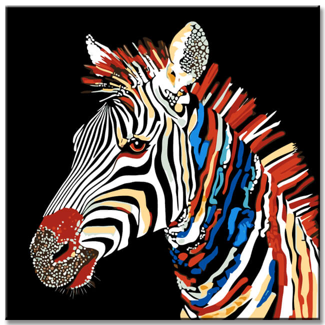 Painting by Numbers Zebra Colorful Black