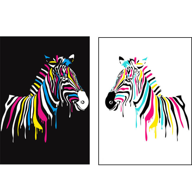Paint by Numbers Zebra Blobs Zebra Blobs White
