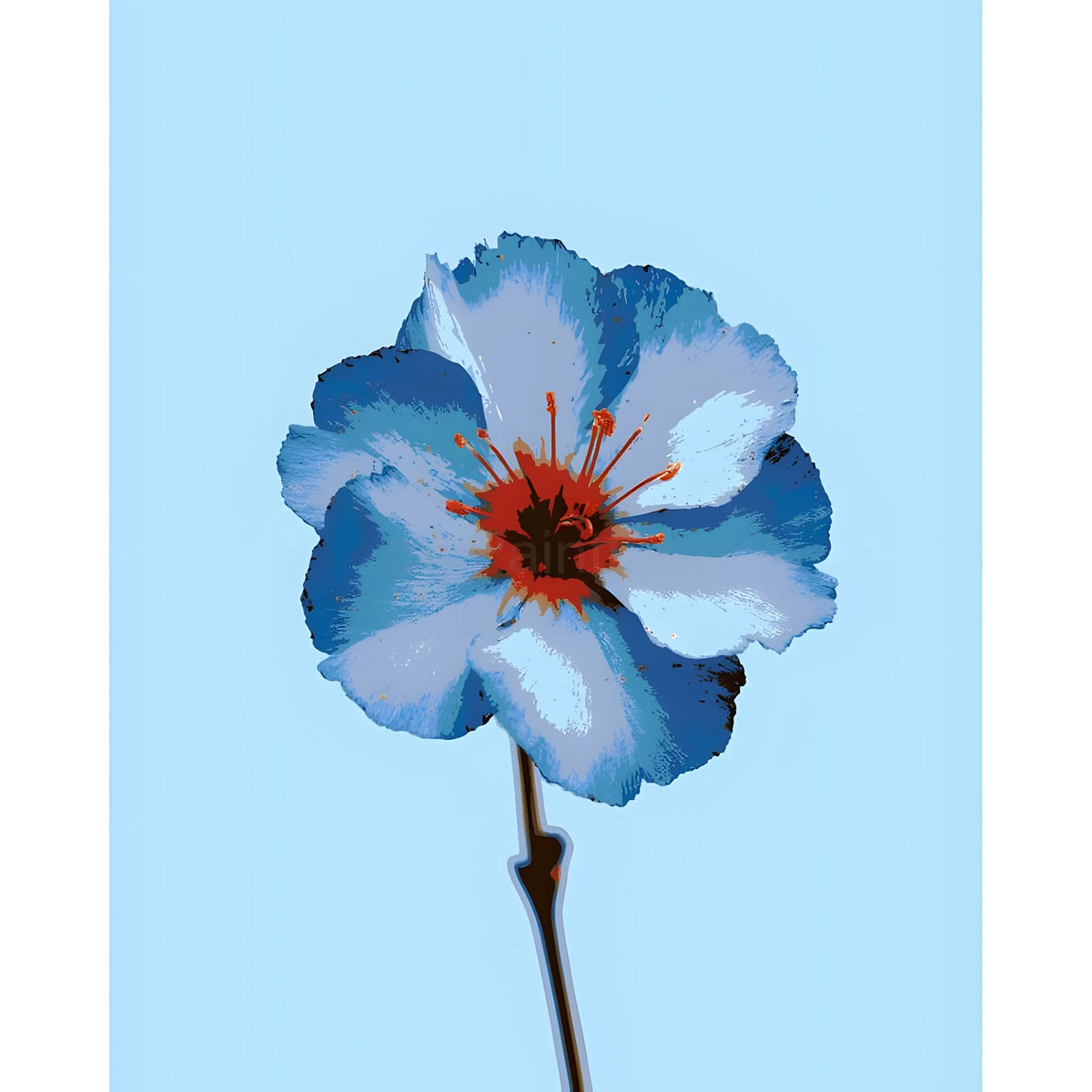 Paint by Numbers Flower Blue