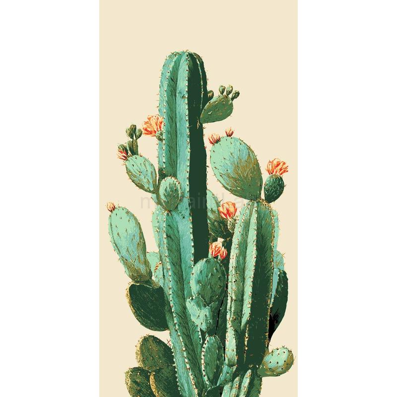 Painting by Numbers Cacti Ordinary