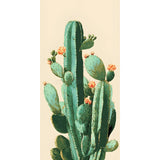 Painting by Numbers Cacti Ordinary