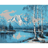 Painting by Numbers Mountain Snow