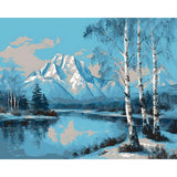 Painting by Numbers Mountain Snow