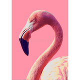Painting by Numbers Flamingo Portrait