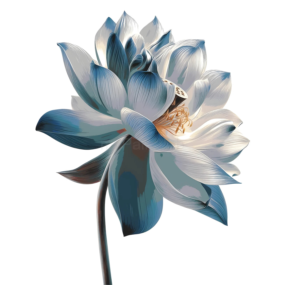 Painting by Numbers Flower Black and White