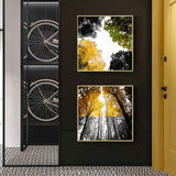 Paint by Numbers Deciduous forest SS-499