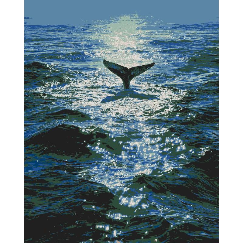 Paint by Numbers Whale