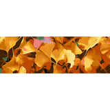 Paint by Numbers Foliage