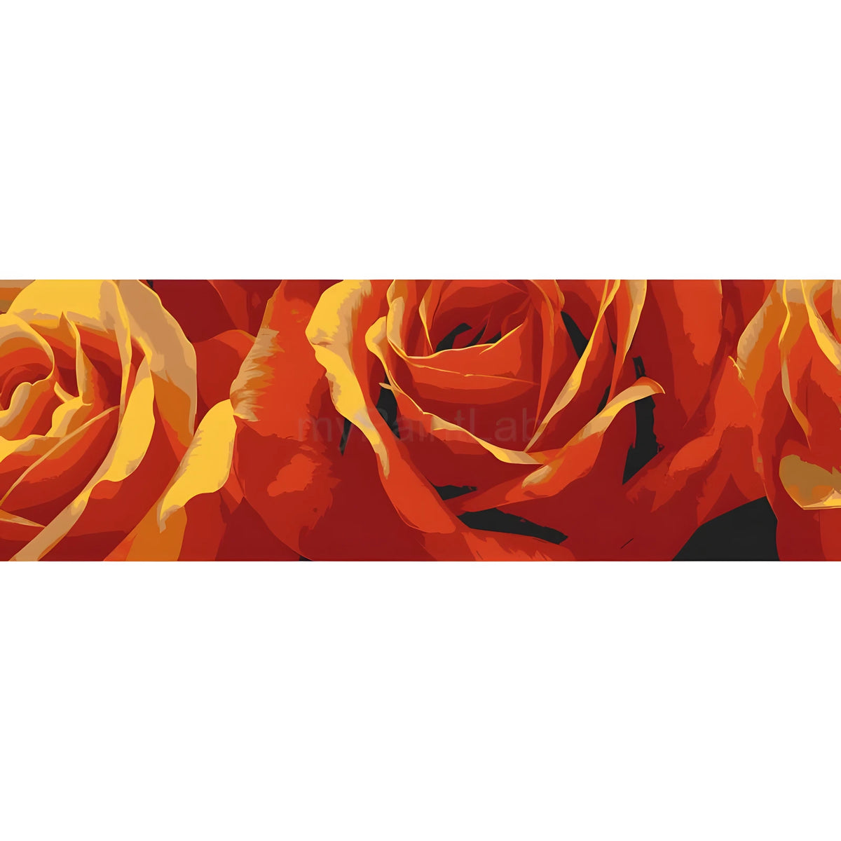 Paint by Numbers Rose