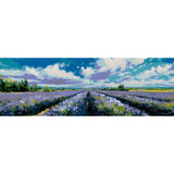 Painting by Numbers Lavender Fields