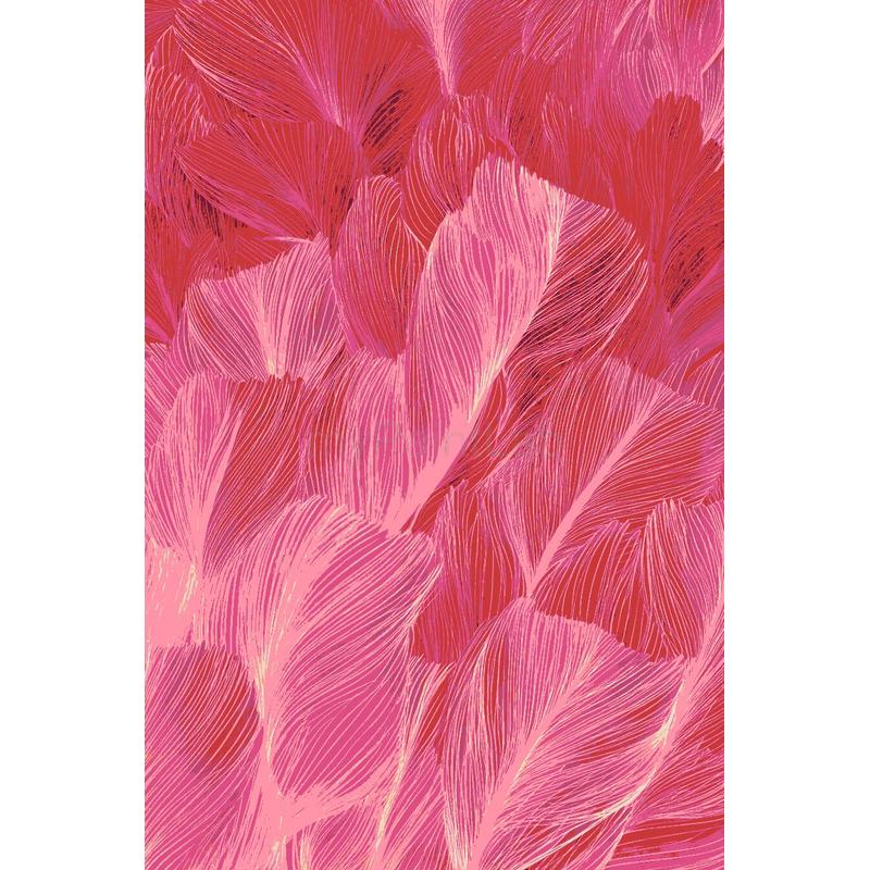 Paint by Numbers Corals