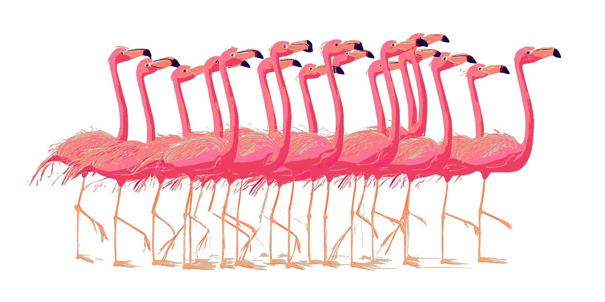 Paint by Numbers Flamingo Ballet