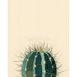Paint by Numbers Cactus
