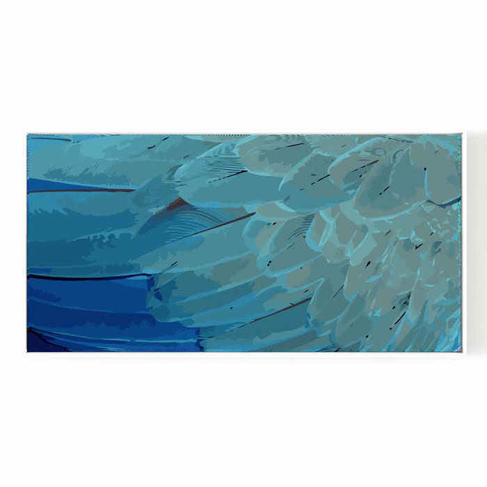 Paint by numbers feathers