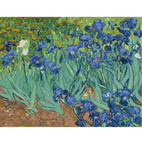 Painting by Numbers Flowers Art Blue Tulips