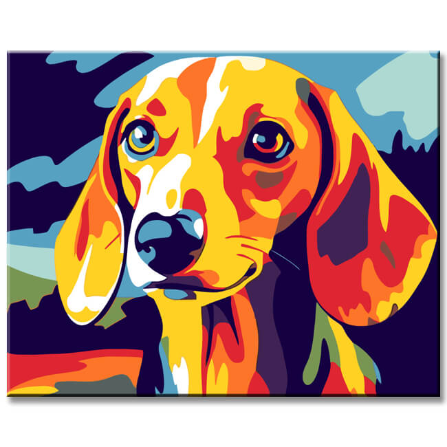 Painting by Numbers Dachshund Portrait Colorful