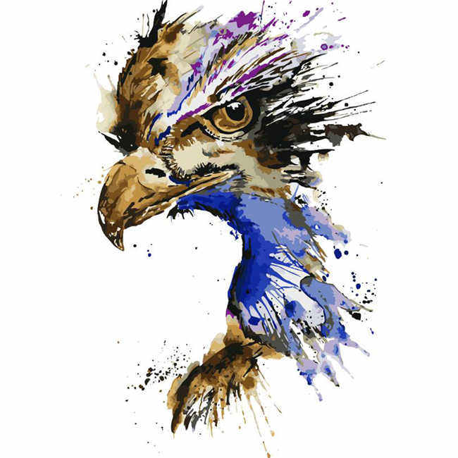 Paint by Numbers Eagle Bird Animals Animal Art