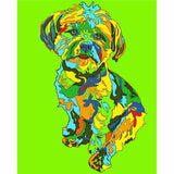 Painting by Numbers Colorful Wildlife Dog in Portrait