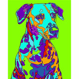 Paint by Numbers Colorful Wildlife Dog Portrait