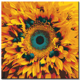 Paint by Numbers Bungamata II