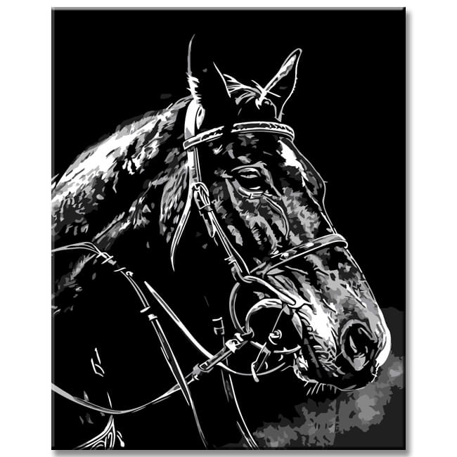 Painting by numbers rodeo horse