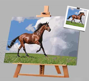 Custom Paint by Numbers for Horses